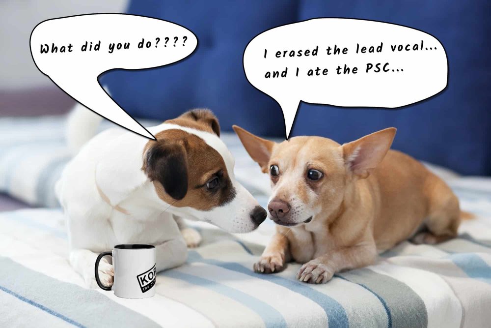 Naughty Dogs